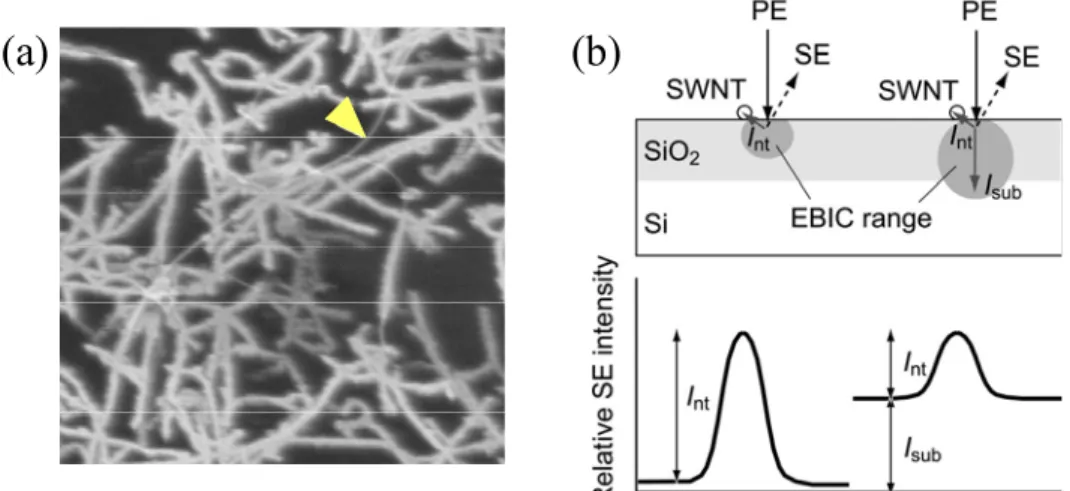 Fig. 2.4 (a)SiO 2 基板上の SWNT の低加速電圧 SEM 像[44]． (b)SiO 2 膜基板上の 加速電圧の違いによる SWNT の SEM 像コントラストの説明図． PE， SE はそ れぞれ 1 次電子，2 次電子，I nt ，I sub はそれぞれ，SWNT，基板への EBIC． 
