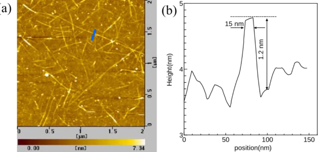 Fig. 2.10 (a)シリコン基板上の SWNT の AFM 像．(b)左図の青線上の断面プロファイル．