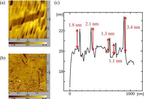 Fig. 3.10 (a)エッチング洗浄済の R-cut 基板および(b)エッチング洗浄無