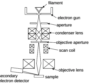 Fig. 2.3 に SEM の概要を，Table 2.3 に用いた装置名を示す． 