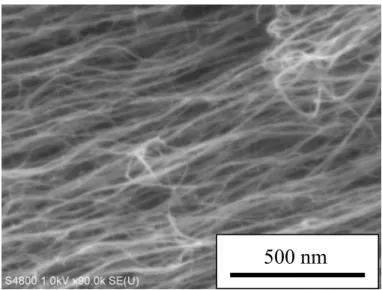 Fig. 2.7 単層 CNT の SEM 像 