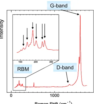 Fig. 2.10  単層 CNT のラマンスペクトル 