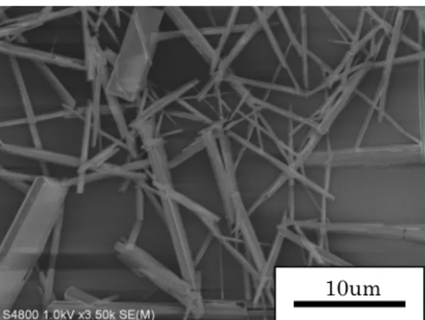 Fig. 3.8 C 60 トルエン溶液滴下後の Si/SiO 2 基板上の C 60 結晶．