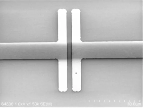 Fig. 2.10  単層 CNT－FET のモデル図．  Fig. 2.11 FET の電極パターン例． 