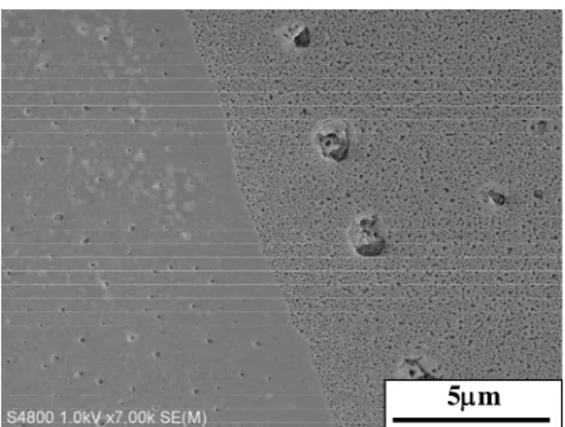 Fig. 3.8 にアンダーカットで作成したシリコン基板上の電極の SEM 像を示す． (JSR/PMGI)