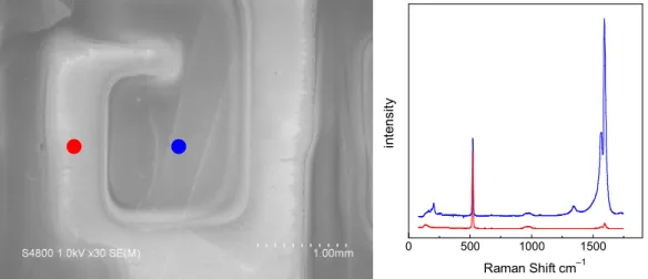 Fig.  3.6 から Fig.  3.9 に CVD 後の SEM 画像とラマンスペクトルを示す．赤で示した部分 がマスクによってカバーされ，SWNT が存在しないはずの領域であり，青で示した部分が OTS-SAM が除去されて触媒が担持され SWNT が生成される領域である．VUV を照射した 領域とそうでない領域とで濃淡の相違はあるとはいえ，ほぼ全体的に SWNT が成長してい た．これは何らかの形で，マスクされた部分にも SAM 膜の破壊が起こったからである．そ の一因が原子状酸素の拡散である．前