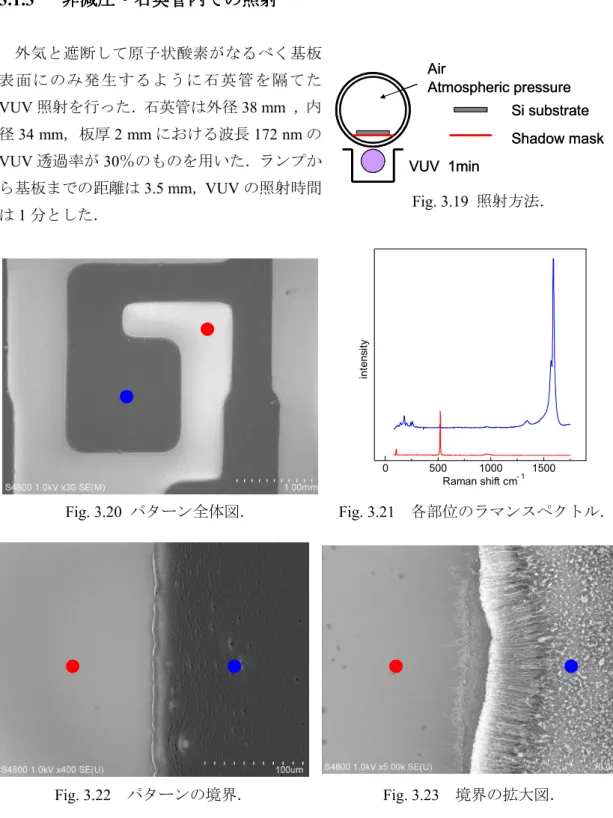 Fig. 3.19 から Fig. 3.23 にパターンの SEM 画像，ラマンスペクトル，照射方法を示す．は
