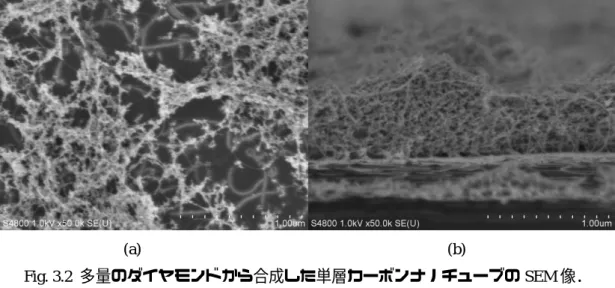 Fig. 3.2  多量のダイヤモンドから合成した単層カーボンナノチューブの SEM 像． 