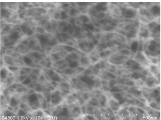 Fig. 1-8  上部から観察した VASWNT の SEM 像． 