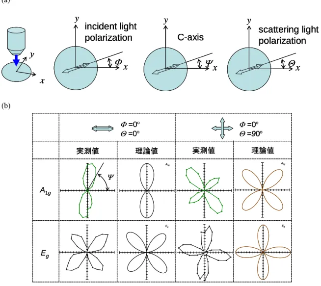 Fig. 3.2 (a)Schematic images of angles of incident light polaraization and c-axis    and scattering light polarizarion