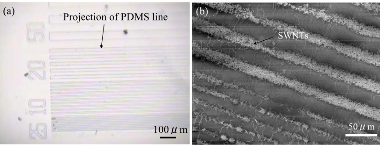 Fig. 4.2 (a) Image of PDMS mold, (b) SEM image of SWNT 