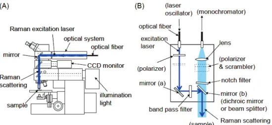 Fig. 1.15    Schematic descriptions of experimental setup on Raman spectrphotometry (figures from  [53]), (A) Overview (B) Optical system