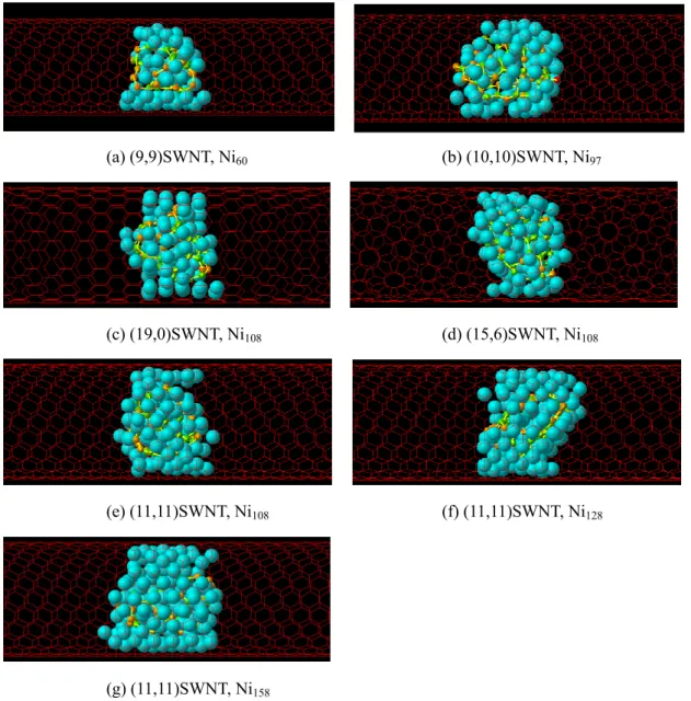Fig. 3.3 Initial conditions for various cluster sizes and outer SWNTs. 