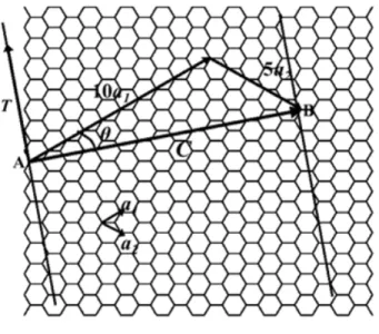 Fig. 1.5 Chiral vector. 
