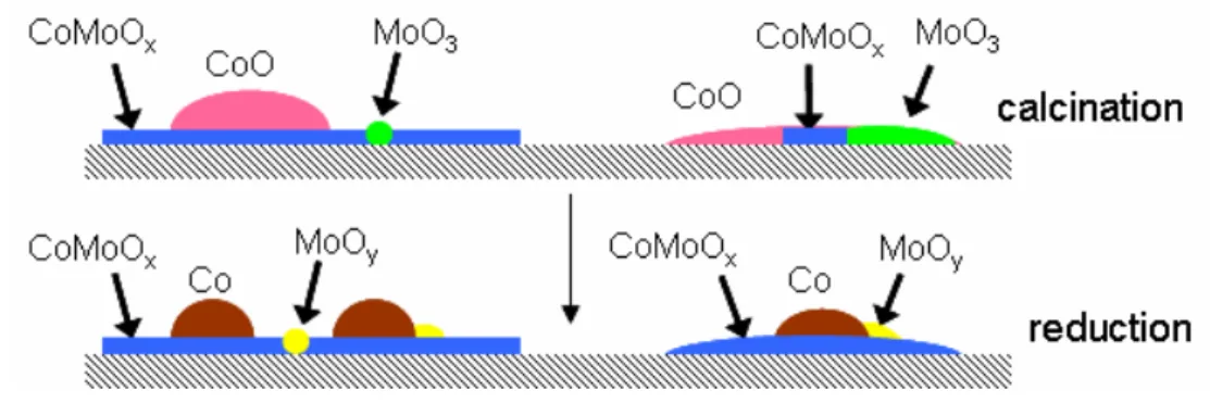 Fig .2.2    Models of Co-Mo catalyst morphologies. 