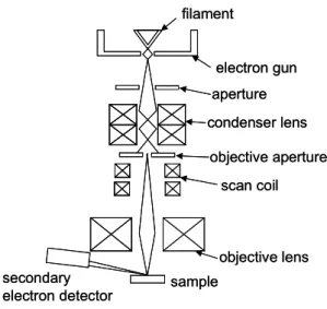 Fig. 3.5 principle of SEM 