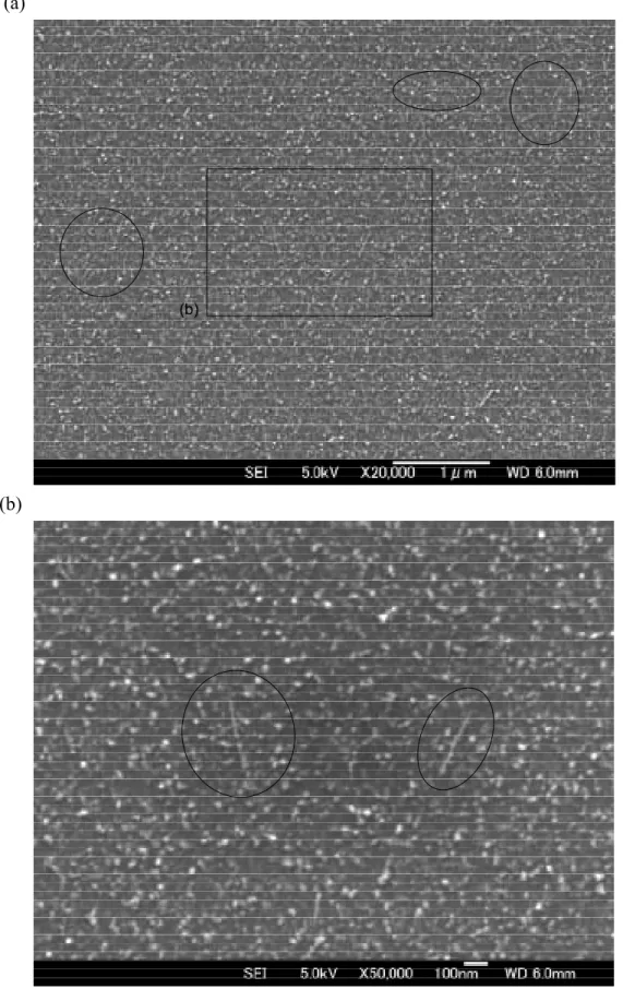 Fig 4.2.(a)SEM image of SWNT on silicon and (b)the enlarged image