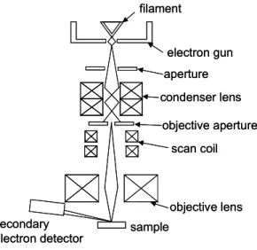 Fig. 2.15 SEM principle. 