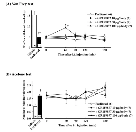 Fig.  6.  Effect of  GR159897  on  mechanical  allodynia  in  the  von  Frey  test  (A) and  cold  hyperalgesia  in  the  acetone test  (B)  in paclitaxel-treated rats