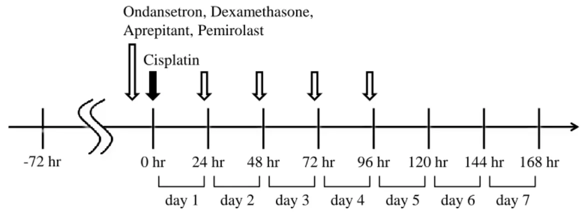 Fig.  9.  Schematic  diagram  of  experimental  protocol.  The  animals  were  injected  i.p