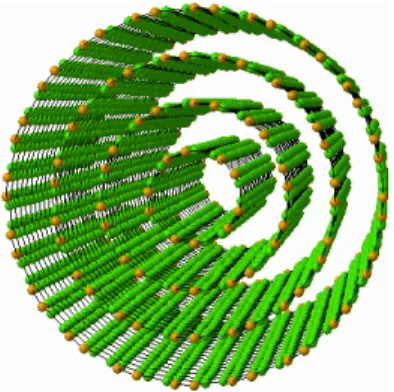 Fig. 1.3 Multi-walled carbon nanotube. 