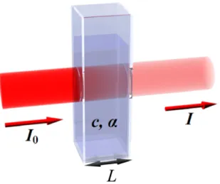 Figure 3.1: Illustration of optical absorption by a material with absorption coefficient α and concentration of absorbing species c