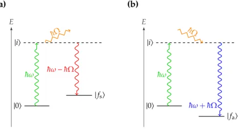 Figure 3.3: Representation of the quantum mechanical states involved in the (a) Stokes and (b) anti-Stokes Raman scattering processes (reproduction from [15]).
