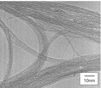 Fig. 1.9 TEM image of ‘as-grown’ SWNTs synthesized by the alcohol CCVD technique.    