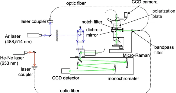 Fig. 1.17 Micro-Raman measurement system. 