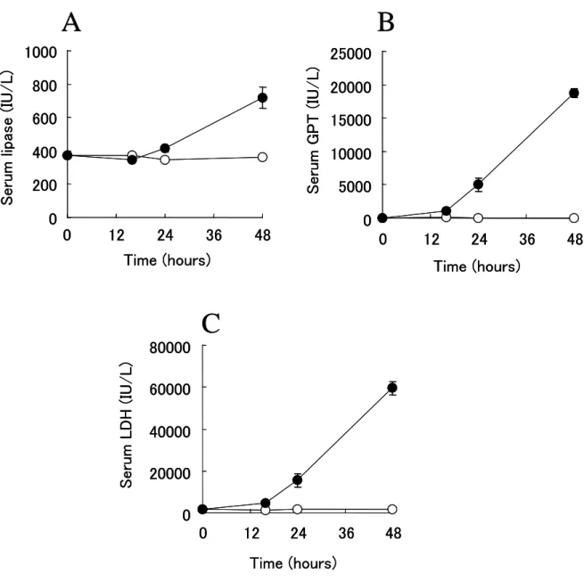 Figur e 5 Sequent ial cha nges in serum paramet er s in mice with acute pancr eatitis induced  by CDE diet