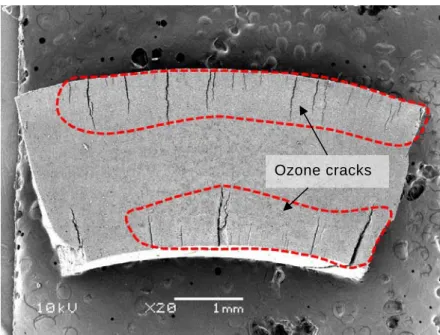 Figure 1-3.   Cross-sectional image of a rubber hose with ozone cracks observed by  scanning electron microscope