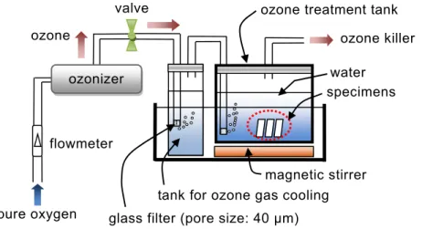 Figure 2-2.    Schematic representation of the experimental set-up for ozone treatment in  water