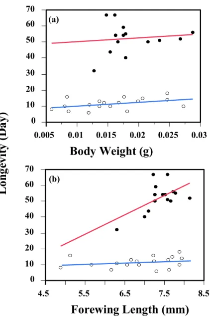 Fig.  2-3. Simple  regression  analyses  between  longevity  and  body  weight  (a)  or  forewing length (b) of I