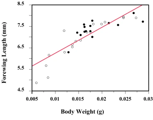 Fig.  2-4.  The  regression  analyses  between  body  weight  at  emergence  and  forewing length of I