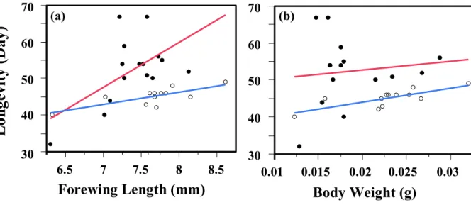 Fig. 3-2. Simple regression analyses between longevity and forewing length (a) or 