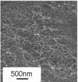 Fig. 3.4 SEM image of vertically aligned SWNT  without flowing Ar/H 2  bundles 