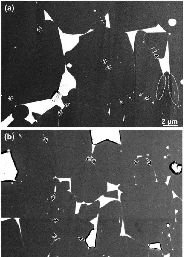 Fig. 3-1 SEM backscattered electron (BSE) images taken with an energy selective BSE (EsB) detector  of (a) the original and (b) the Tb-sputtered Nd-Fe-B sintered magnet