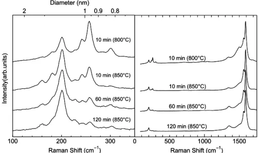 Figure 2-3 shows the Raman spectra corresponding to Fig. 2-2b. Detailed interpretations  of the Raman spectra are presented in elsewhere [22]