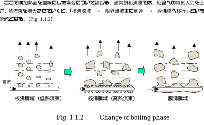 Fig. 1.1.3    Subcooled film boiling 
