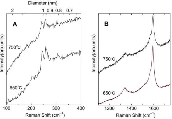 Fig. 3.9 Temperature change of the test-tube with fullerene and estimated vapor pressure of C 60