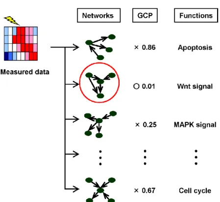 Figure 2.18 Schematic diagram of the network screening. 