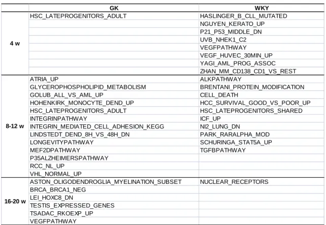Table 3.2 Identified active regulatory networks in three stages in GK and WKY rats  individually