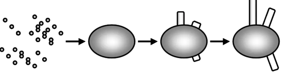 Fig. 5-1.  Scooter model. 
