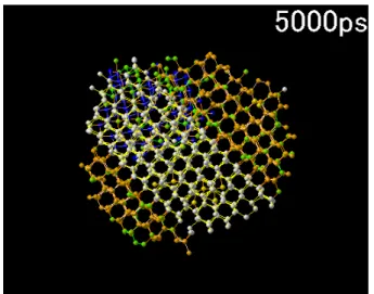 Fig. 3-2 Twinning of n44_2000 type. 