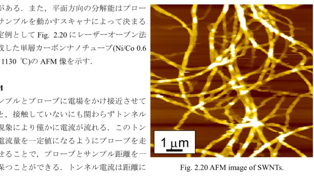 Fig. 2.20 AFM image of SWNTs. 