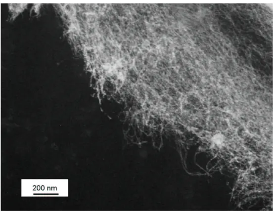 Fig. 3.8 SEM image of SWNTs generated from ferrocene and ethanol at 900 ºC. 