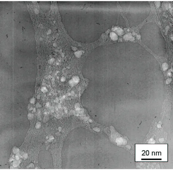 Fig. 3.9 TEM image of SWNTs bundles generated from ferrocene and ethanol at 900 ºC. 