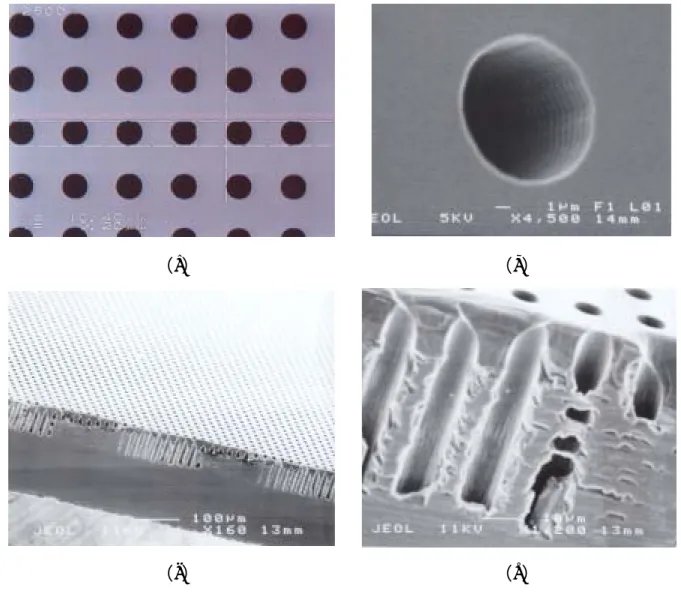 Fig. 3.11 Magnification of cavities.