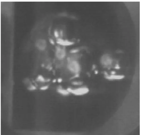 Fig. 4.6 Top view of boiling surface. 