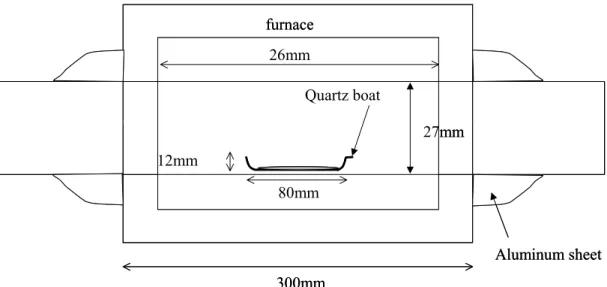 Fig. 2.3  Schematic of catalyst heating section. 